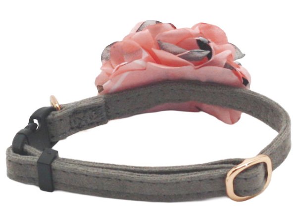 画像3: ポンデキャット (3)