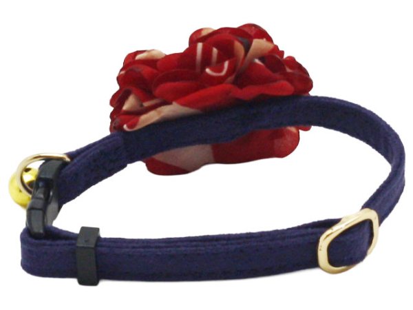 画像6: ポンデキャット (6)