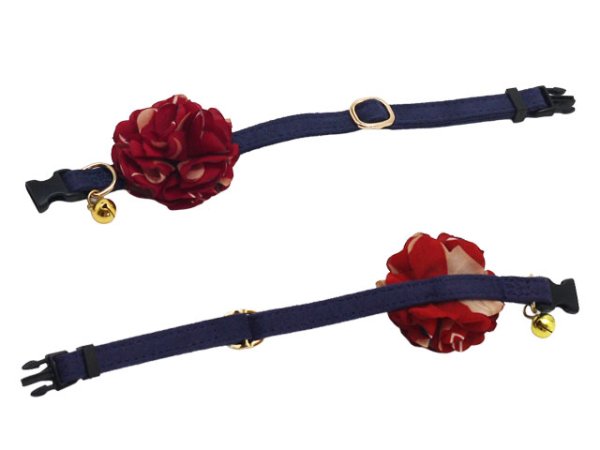 画像7: ポンデキャット (7)