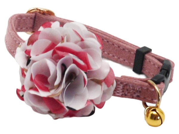 画像8: ポンデキャット (8)