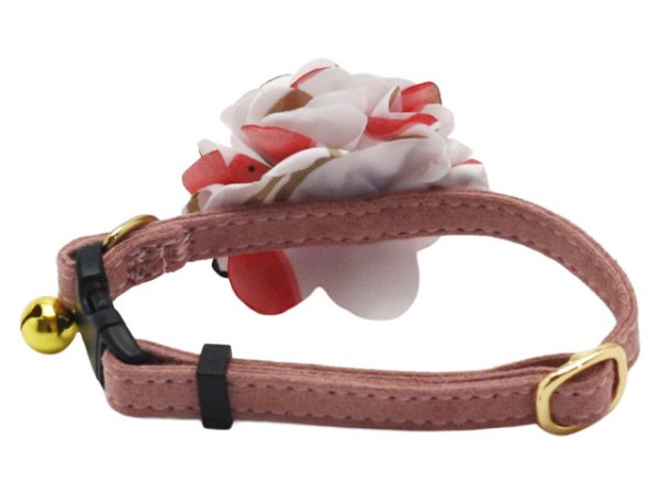 画像9: ポンデキャット (9)