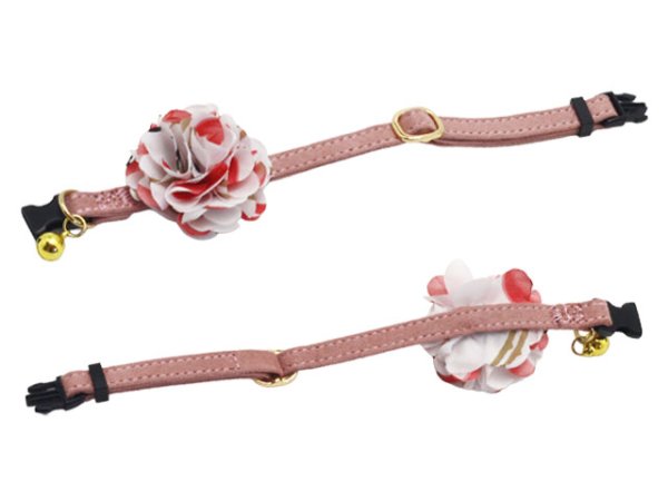 画像10: ポンデキャット (10)