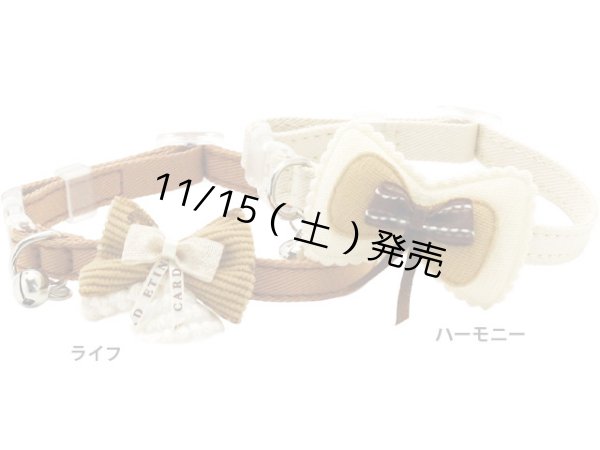 画像1: ナットキャット (1)