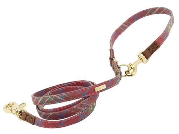 画像4: パピロンタータンワンタッチ (4)