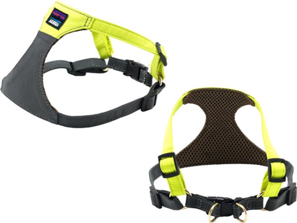 画像2: ダブルサイドハーネス (2)