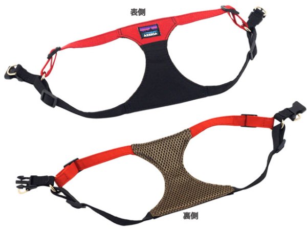 画像5: ダブルサイドハーネス (5)