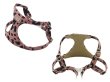 画像5: パンテーラハーネス (5)