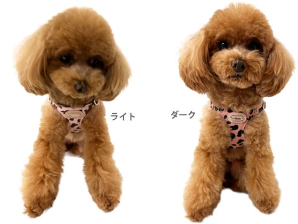 画像8: パンテーラハーネス (8)