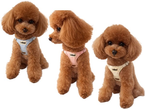 画像12: レニーハーネス (12)