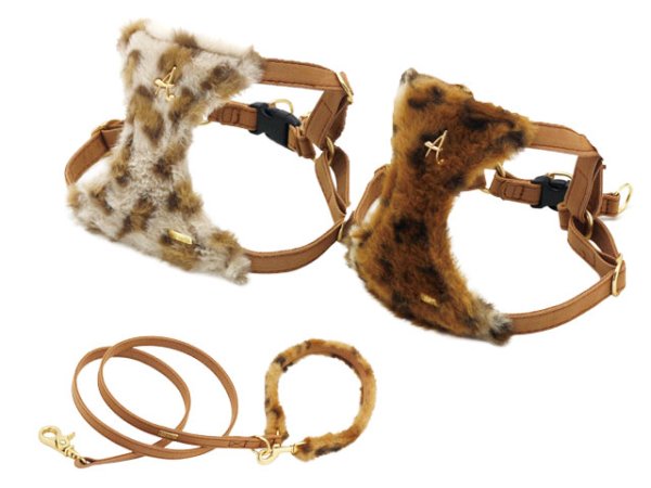 画像1: ワイルドフィーラインハーネス (1)