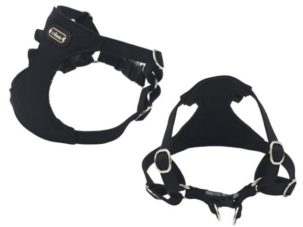 画像2: ノートルダムハーネス (2)