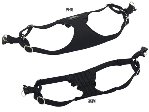 画像3: ノートルダムハーネス (3)