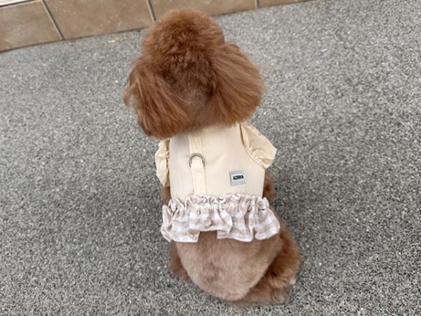 画像15: シャンブレーセットハーネス (15)