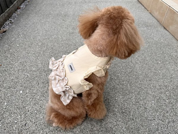 画像16: シャンブレーセットハーネス (16)