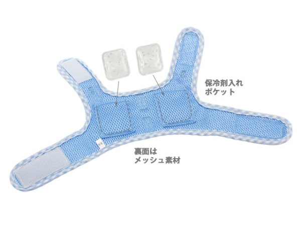 画像11: ヴィシーセットハーネス (11)