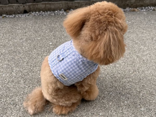 画像16: ヴィシーセットハーネス (16)