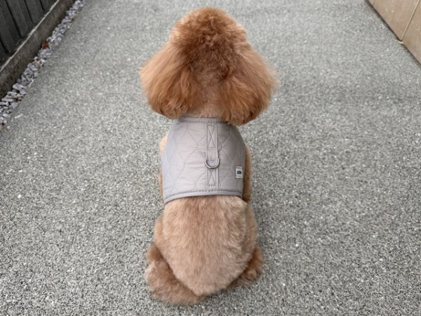 画像15: ラテセットハーネス (15)