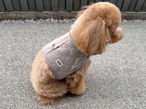 画像16: ラテセットハーネス (16)