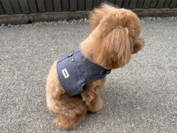 画像22: サロペットセットハーネス (22)