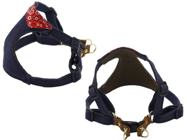 画像5: ジョニーハーネス (5)