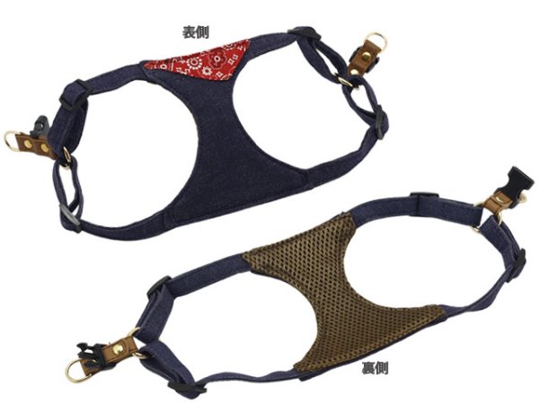 画像6: ジョニーハーネス (6)