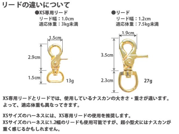 画像11: パピロンタータンワンタッチ (11)