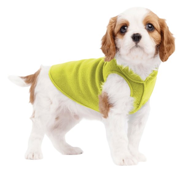 画像1: Stretch Fleece 【Avocado】 (1)