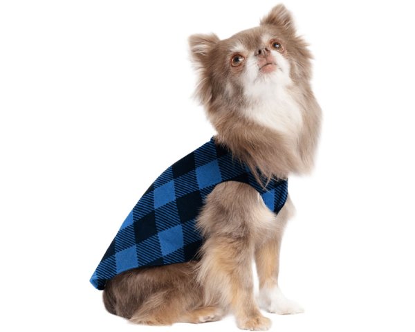 画像1: Stretch Fleece 【Cobalt Buffalo】 (1)