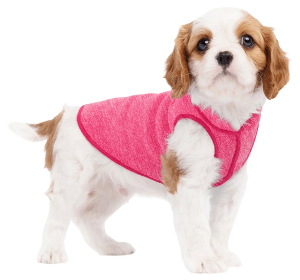 画像1: Sun Shield Tee 【Flamingo】 (1)