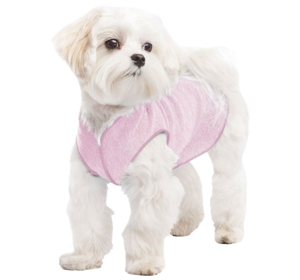 画像1: Sun Shield Tee 【Pink Lemonade】 (1)